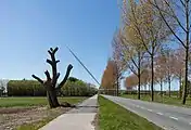 El puente: Calatravabrug de Harp (Arpa)