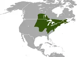 Distribución de Blarina brevicauda