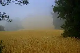 Zona de Vallfogona de Riucorb
