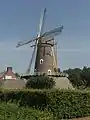 Molino de Korenaar