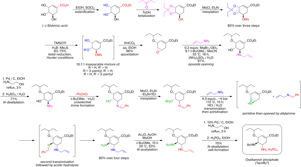 Síntesis del Tamiflu
