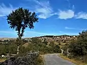Lamas de Olo