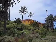 Paisaje de La Rambla de Castro con palmeral alrededor de La Gran Casona.