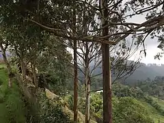 Paisaje observado desde el alto de la cruz, luego de subir 238 escalones.