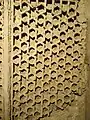 Panel 10
