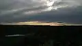 Vista panorámica hacia una formación de mallín con matas y el cielo surcado por un halcón