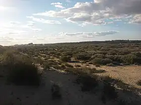 Marismas del Río Piedras y Flecha del Rompido
