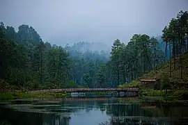 Amanalco