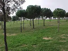 Parque G-4