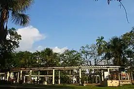 Leticia
