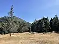 Zona de bosque en el parque.
