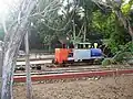 Locomotora del tren.