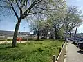Parque al borde del Paseo Ingeniero Rafael Areses