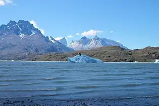 Iceberg en Lago Grey
