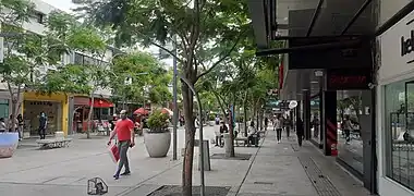 Peatonal Rivadavia.