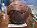 Pelota firmada por la selección uruguaya que ganó el Mundial de 1950