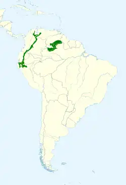 Distribución geográfica del ermitaño barbigrís.