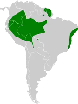 Distribución geográfica del ermitaño picogrande.