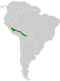 Distribución geográfica del ermitaño boliviano.