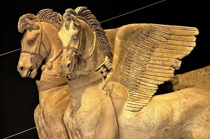 Cabezas de los caballos