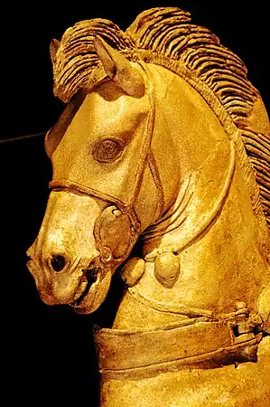 Cabeza del otro caballo