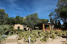 Vista del jardín
