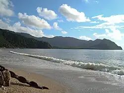 Playa