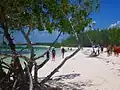 Playa de Cayo Jutias