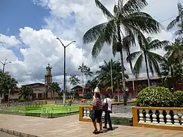 Nauta