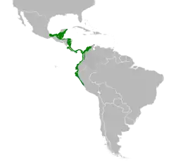 Distribución geográfica de la perlita cejiancha.