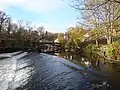 Puente Pollard