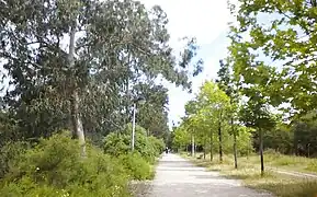 Camino de paseo