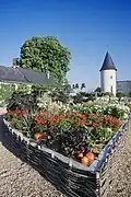 Potager de Gargantua, Rivau.