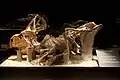 Esqueleto de Protoceratops  en Copenhague.
