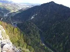 Garganta del río Dunajec vista desde Sokolica.