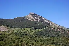 Monte Pacino