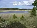 Laguna de Los Ojos de Villaverde