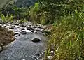 Quebrada La Chorrera, Afluente del río Grande