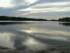 Río Capanaparo