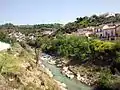 Pinos Puente