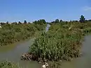 Ríos Guadalhorce, Fahalas y Pereilas