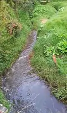 Río Guadalupe recién nacido