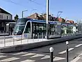 T9 - Carle - Darthé