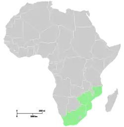 Range of Senecio barbertonicus.