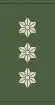 Coronel