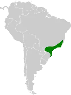 Distribución geográfica del hormiguerito gorgipinto.