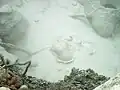 Detalle del volcán.