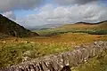 Beenarourke