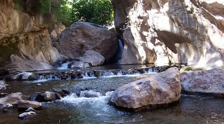 800 × 444 píxeles