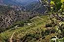 Riu Siurana i planes del Priorat